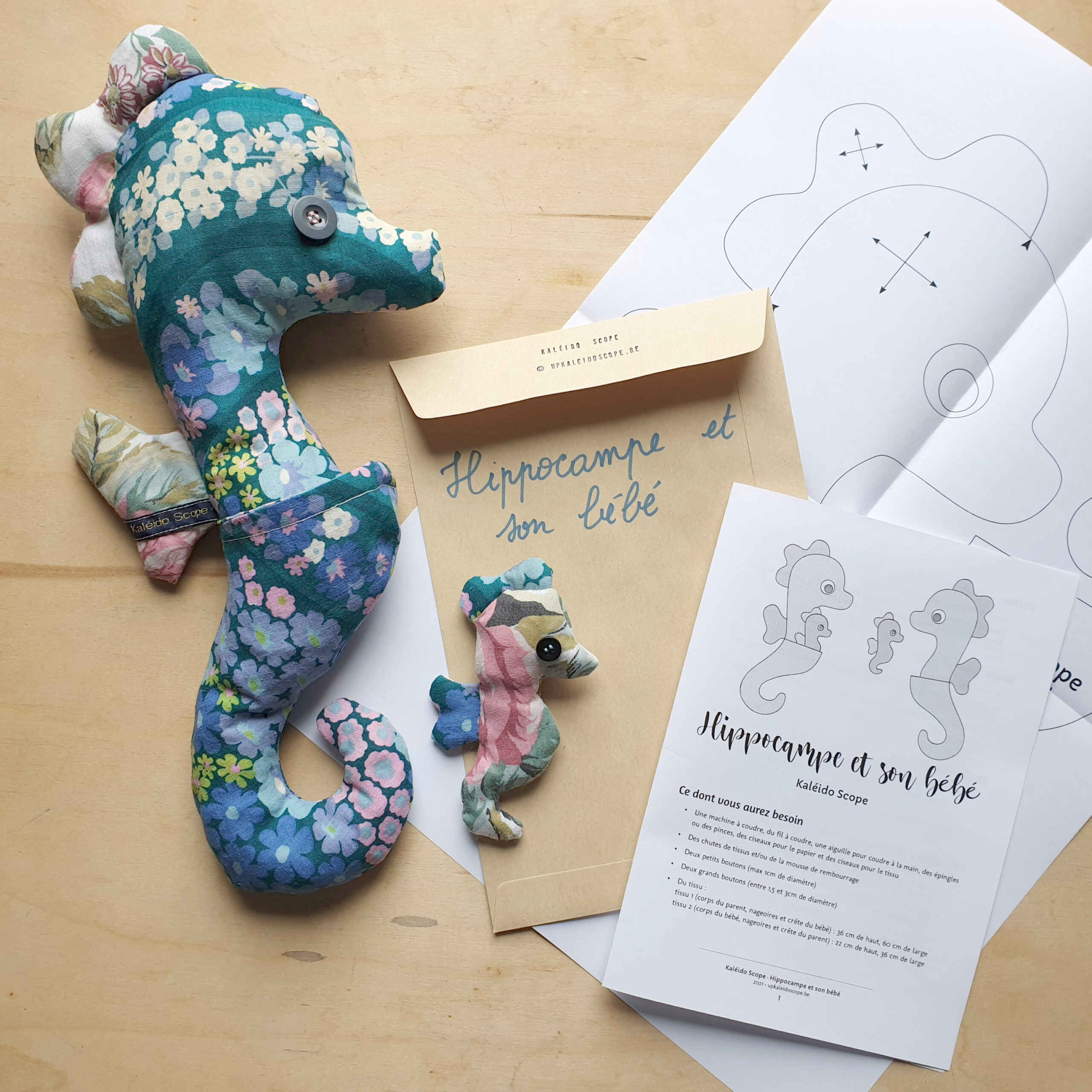 Hippocampe et son bébé