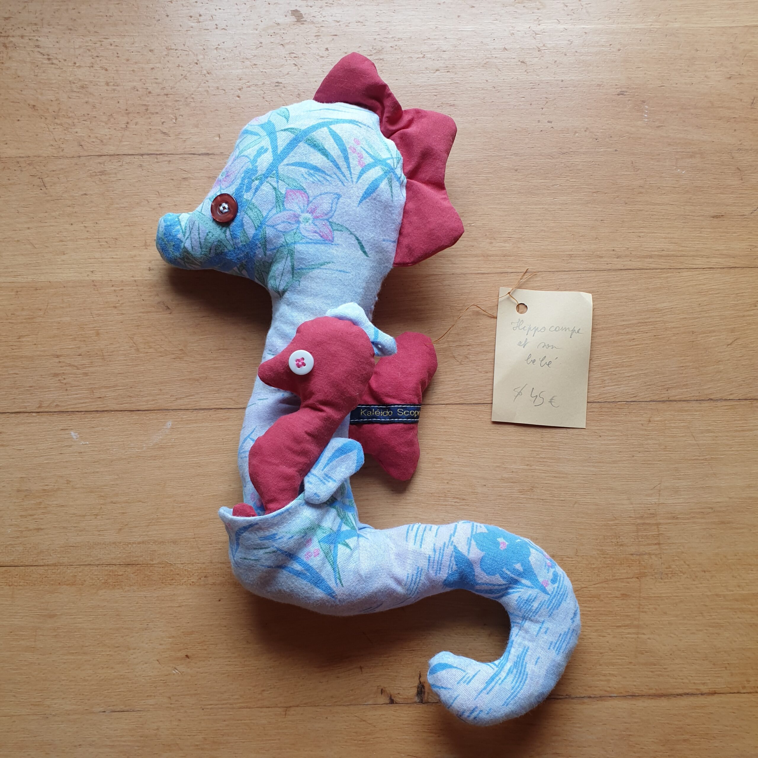 Hippocampe et son bébé - Image 6