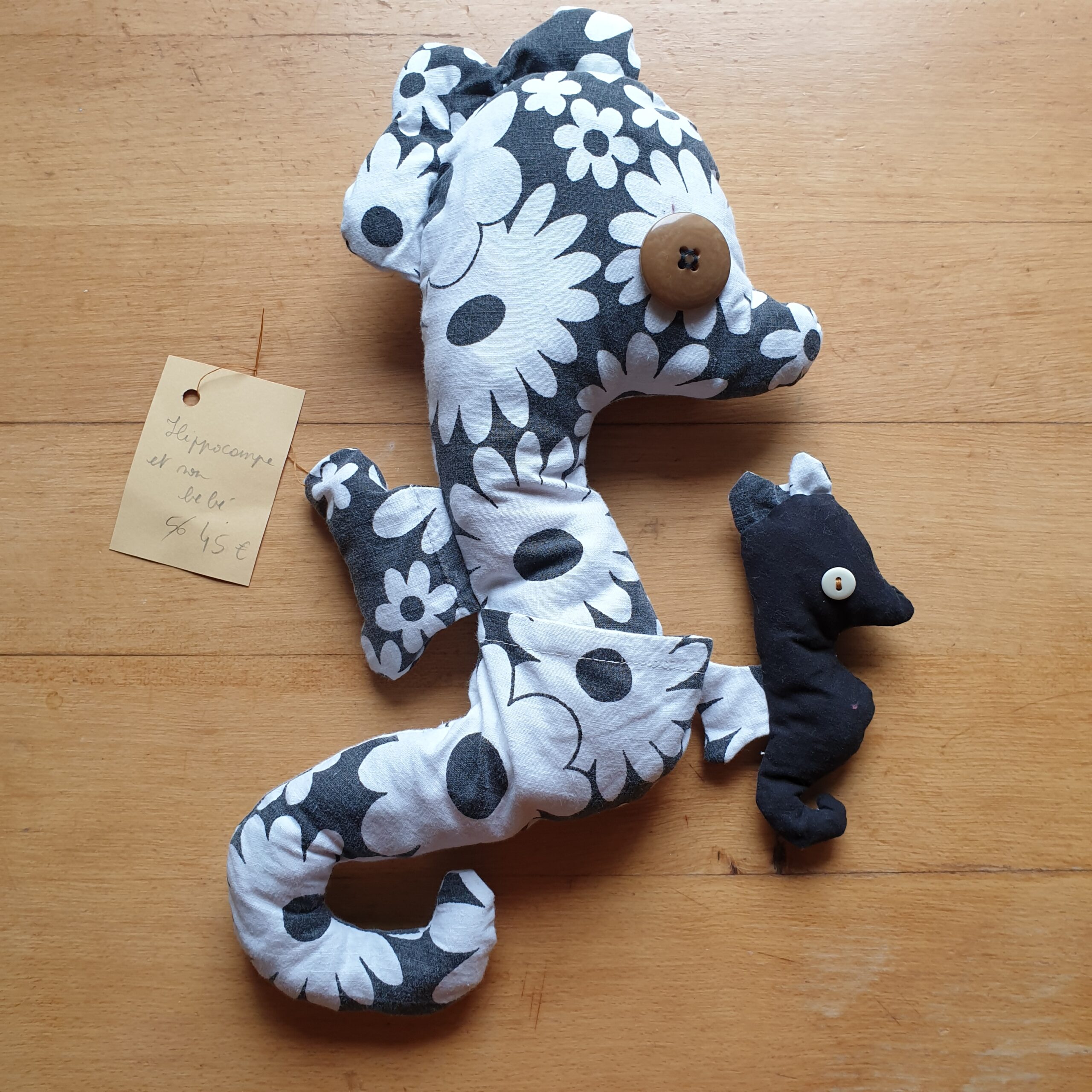 Hippocampe et son bébé - Image 4