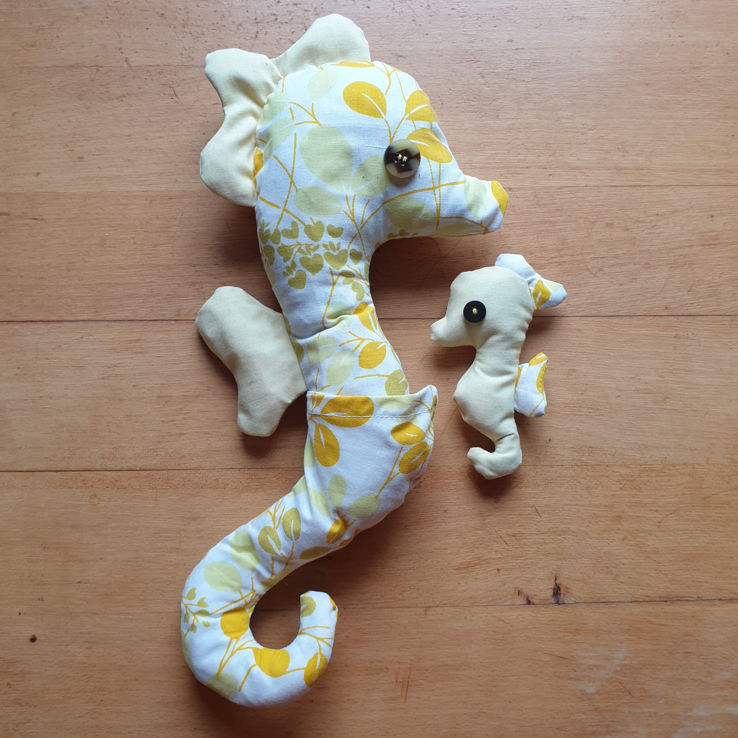 Hippocampe et son bébé - Image 3