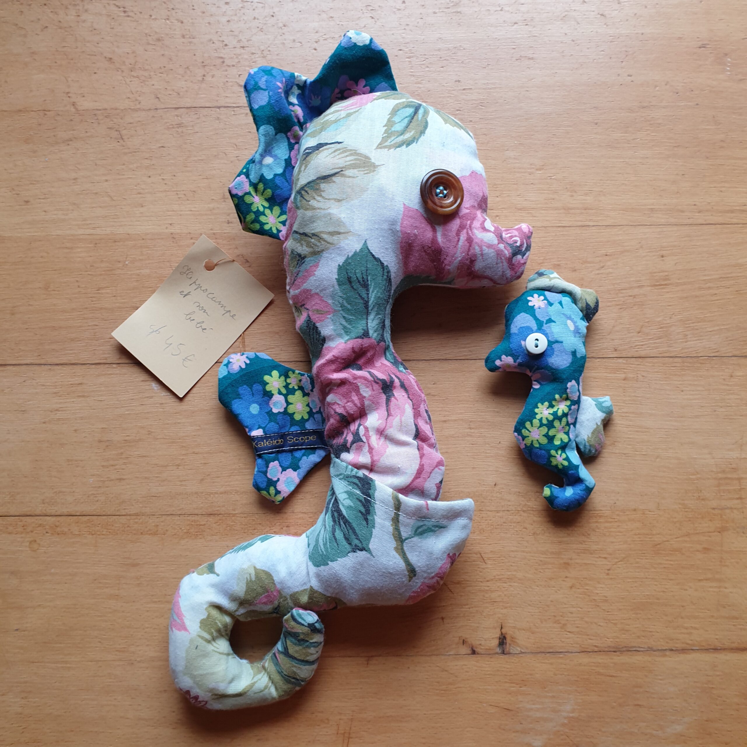 Hippocampe et son bébé - Image 7