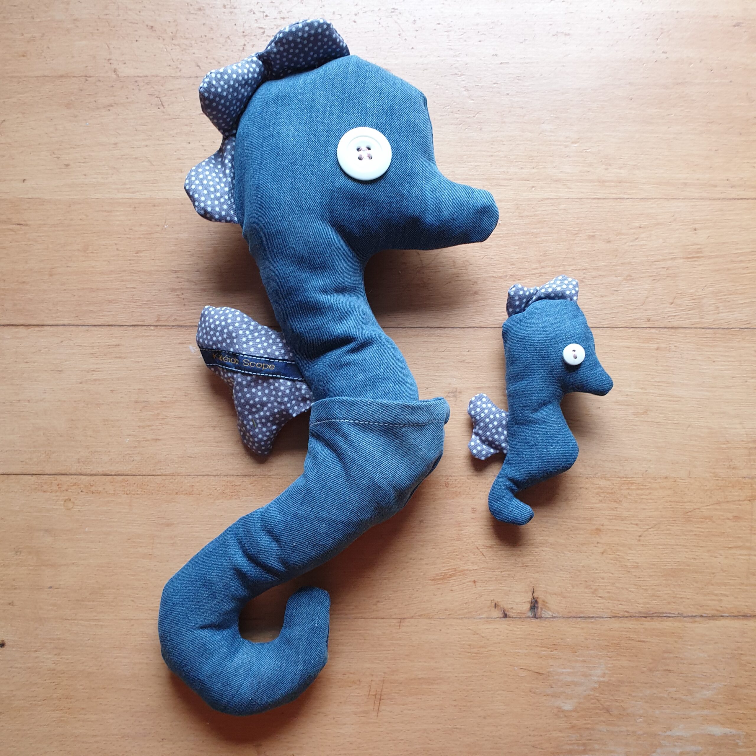 Hippocampe et son bébé - Image 5